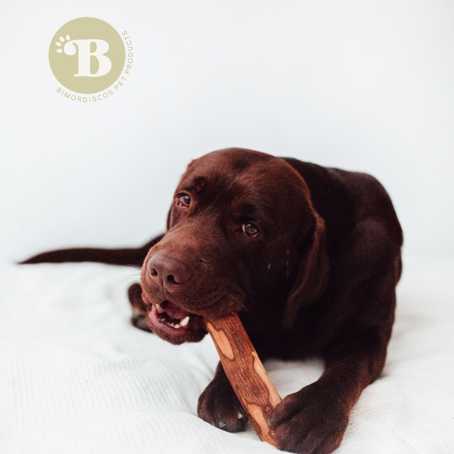 BIMORDISCOS Madera de olivo para perros, , large Imagen numero 4